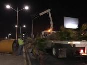 Como basura retiran palmeras maceteros Salvador Nava