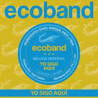 Ecoband, Yo sigo aquí