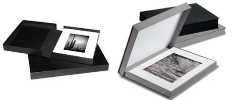 Concepto de portfolio de artista Concepto de portfolio de artista