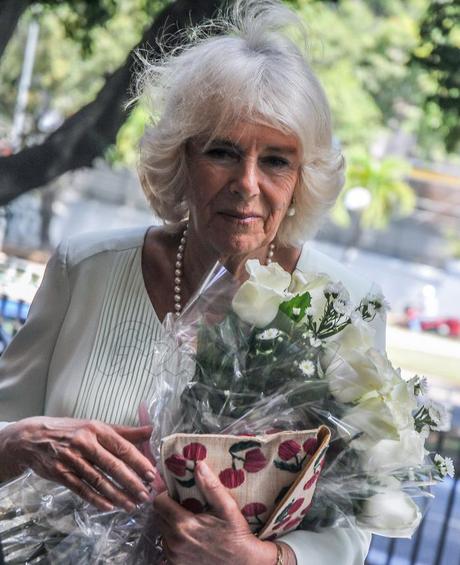 Imágenes de sus Altezas Reales en visita a Cuba