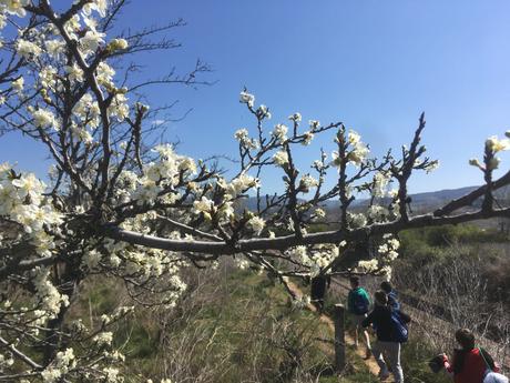 Senda de los Canteros. De Ponferrada a San Miguel de las Dueñas por la ribera del Boeza
