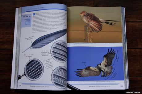 Manual del Observador de Aves