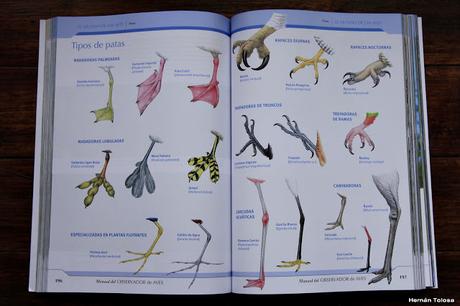 Manual del Observador de Aves