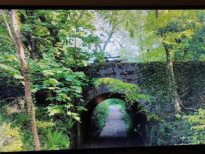 La sociedad literaria y el pastel de piel de patata, Análisis de la edición Bluray
