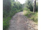 Caminos rumbo