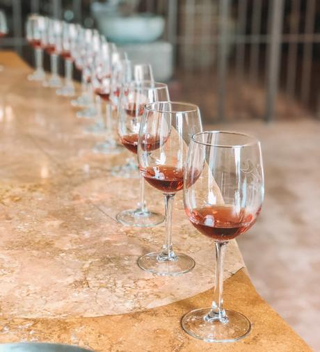 mexico-9 ▷ Las mejores regiones vinícolas del mundo