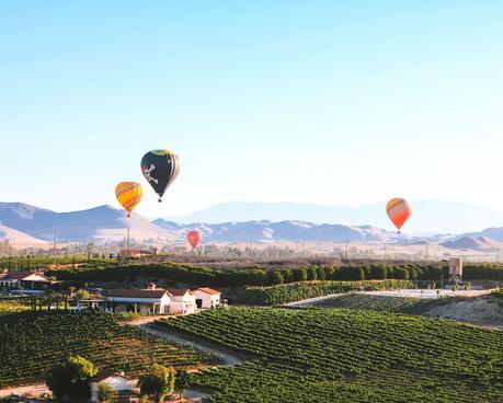 cali-8 ▷ Las mejores regiones vinícolas del mundo