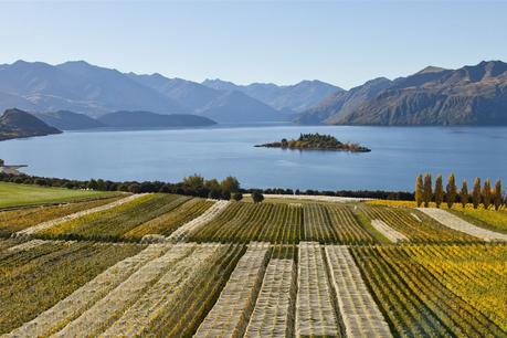 Wine-Tasting-in-Queenstown ▷ Las mejores regiones vinícolas del mundo