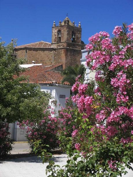 Iglesia-de-Santa-Ana-768x1024 ▷ Que ver en Fregenal de la Sierra