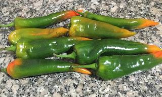 PIMIENTOS VERDES RELLENOS DE JAMÓN  Y QUESO