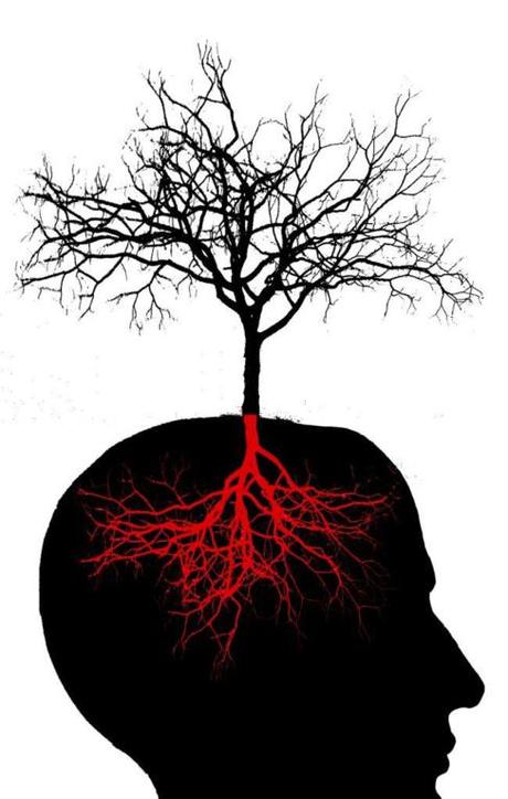 Crecimiento y generación de neuronas también en adultos Crecimiento y generación de neuronas también en adultos