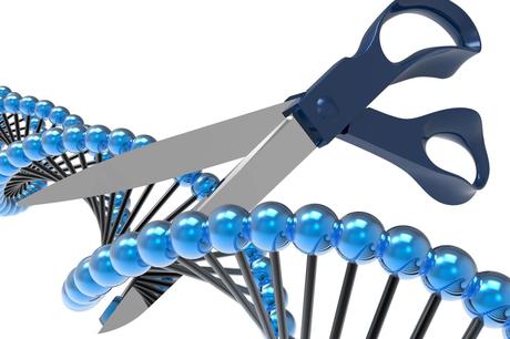 CRISPR-CAS-Técnica de edición del genóma