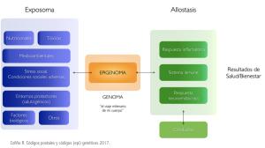 Determinantes sociales de la salud Determinantes sociales de la salud