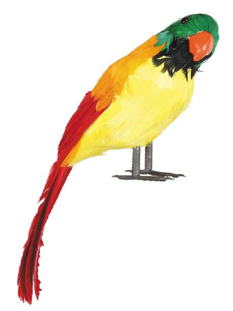 Consejos y modelos de Disfraces de Piratas para grupos