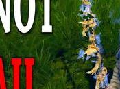 Conseguir Arco Outward