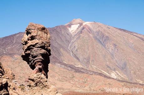 Excursión al Teide con niños Teide-con-niños-17 Excursión al Teide con niños