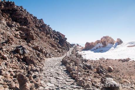 Excursión al Teide con niños Teide-con-niños-11 Excursión al Teide con niños