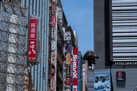 Viajar a Tokio con un bebé 1553817399_951_Viajar-a-Tokio-con-un-bebe Viajar a Tokio con un bebé