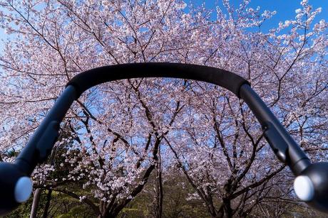 Viajar a Tokio con un bebé Viajar-a-Tokio-con-un-bebe Viajar a Tokio con un bebé