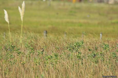 Primera salida del COA Dragón