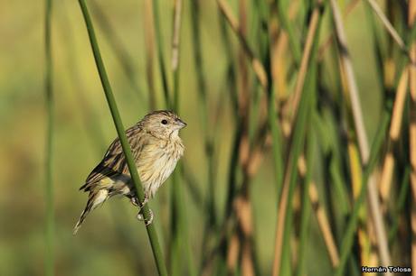 Primera salida del COA Dragón
