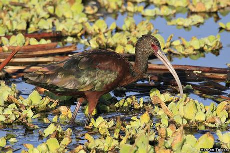 Primera salida del COA Dragón