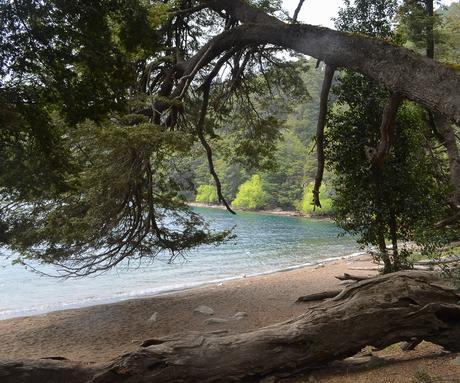 Una semana en la inmensidad patagónica