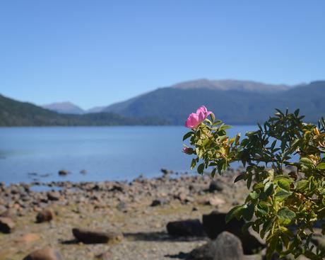 Una semana en la inmensidad patagónica