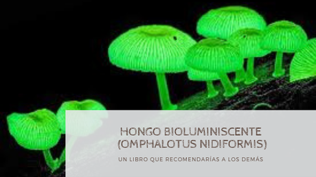BookTag: Los hongos Locos