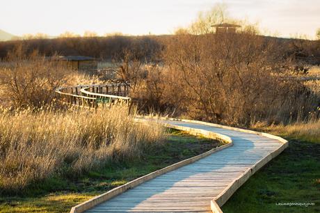 Parque Nacional de las Tablas de Daimiel