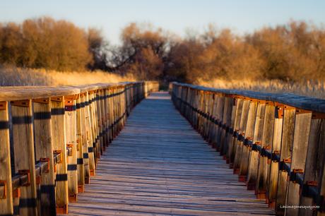 Parque Nacional de las Tablas de Daimiel