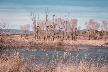 Parque Nacional de las Tablas de Daimiel