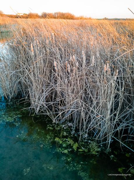 Parque Nacional de las Tablas de Daimiel