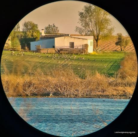 Parque Nacional de las Tablas de Daimiel