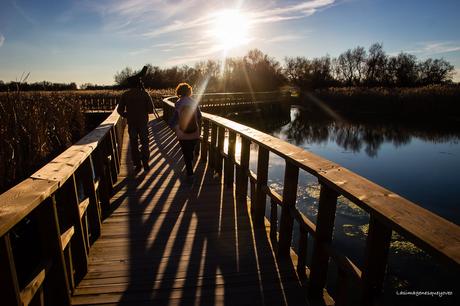 Parque Nacional de las Tablas de Daimiel