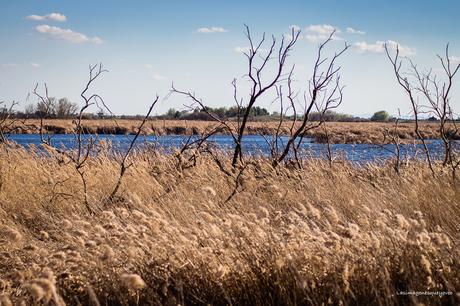 Parque Nacional de las Tablas de Daimiel