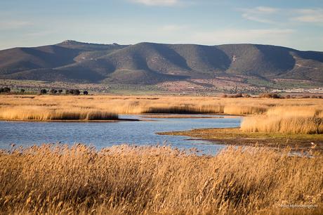 Parque Nacional de las Tablas de Daimiel