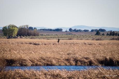 Parque Nacional de las Tablas de Daimiel