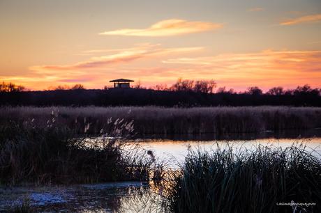 Parque Nacional de las Tablas de Daimiel