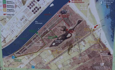 Ruta en bici por el Prat de Llobregat