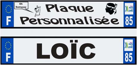 Plaque Immatriculation Personnalisée Peinture Que Vraiment Chic