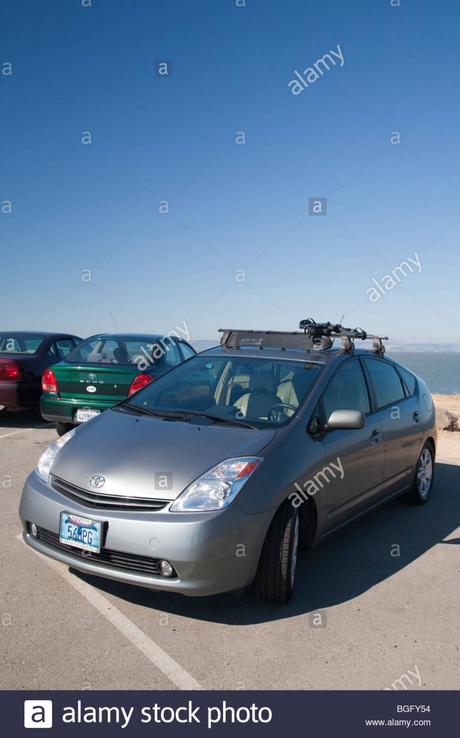 Plaque Immatriculation Personnalisée Peinture Que Vraiment Chic