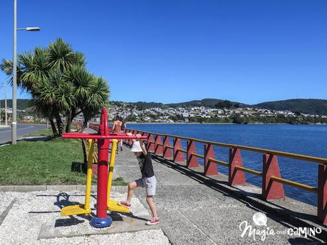 Ancud y las pingüineras de Puñihuil