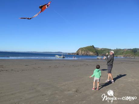 Ancud y las pingüineras de Puñihuil