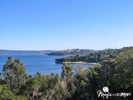 Ancud y las pingüineras de Puñihuil