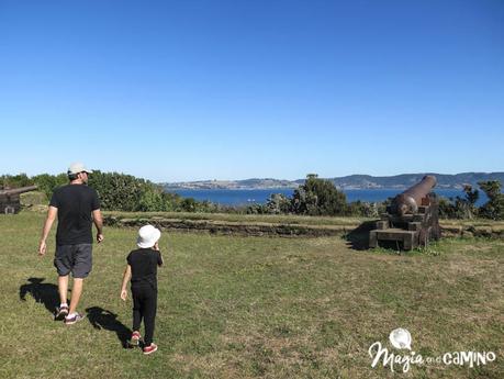 Ancud y las pingüineras de Puñihuil