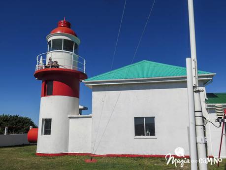 Ancud y las pingüineras de Puñihuil