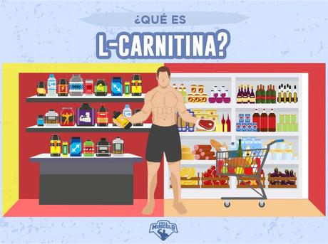 qué es la l-carnitina?