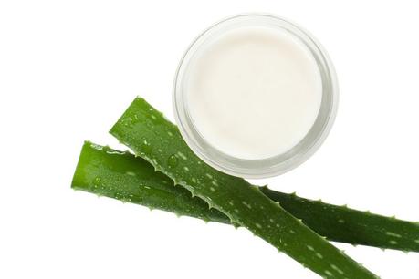 Los 4 mejores beneficios del Aloe Vera para la piel cómo hacer mascarilla con aloe vera