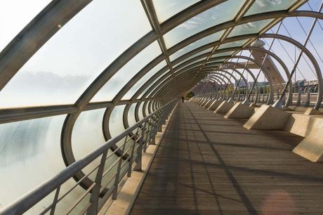 1553904429_922_12-cosas-que-hacer-en-Zaragoza 12 cosas que hacer en Zaragoza